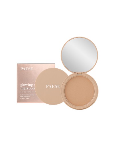 PAESE Glowing Powder - 13 Golden Beige - sis-style.